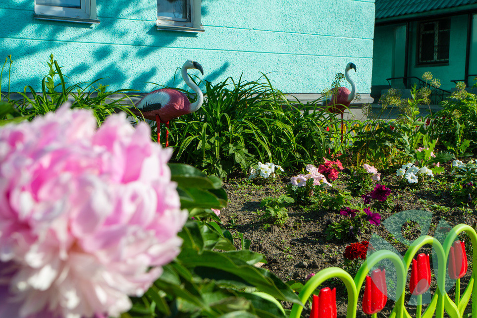 Дом престарелых г. Новосибирск: Благоустройство территории нашего пансионата, является неотъемлемой частью в нашей работе